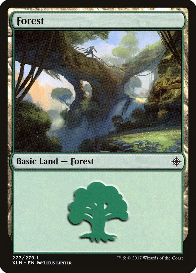 Image for Forest (277) (277) (XLN) - Magic: The Gathering