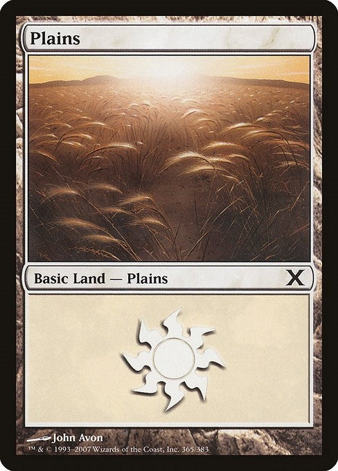 Image for Plains (365) (365) (10E) - Magic: The Gathering