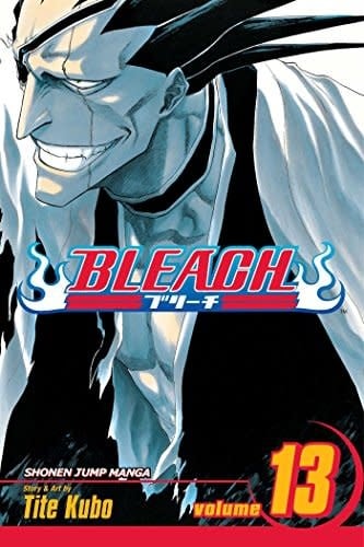 Bleach, Vol. 13 - Softcover