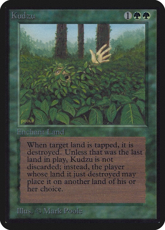 Kudzu (LEA)