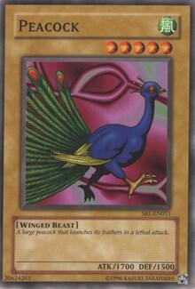 Peacock (SRL-011) (SRL)