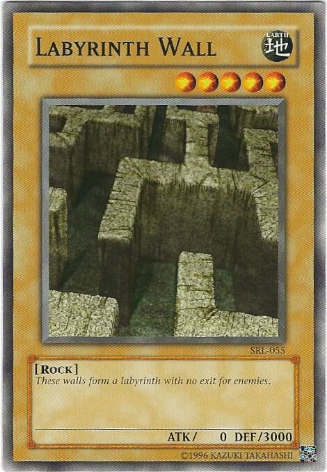 Labyrinth Wall (SRL-055) (SRL)