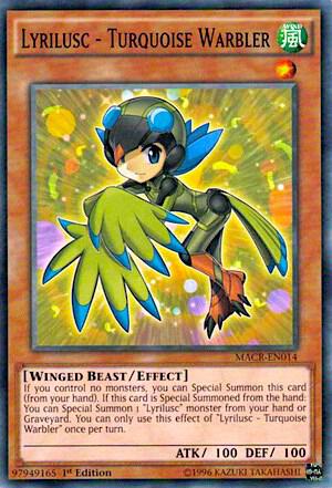 Lyrilusc - Turquoise Warbler (MACR-EN014) (MACR)