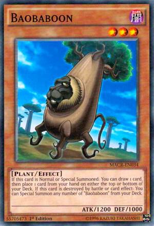 Baobaboon (MACR-EN034) (MACR)