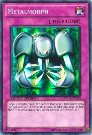 Metalmorph (WP11-EN020) (WP11)