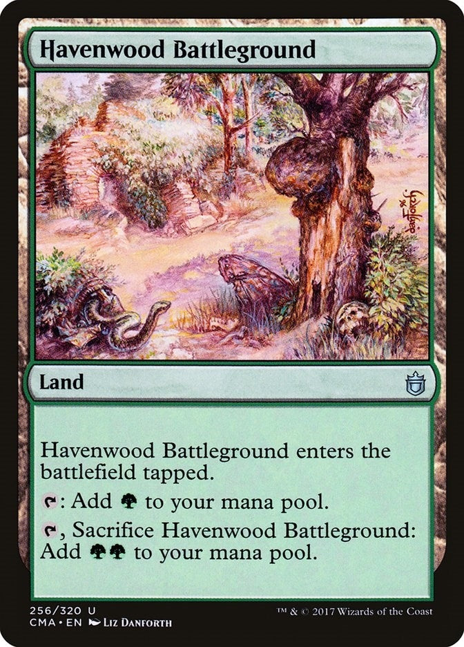 Image for Havenwood Battleground (256) (CMA) - Magic: The Gathering
