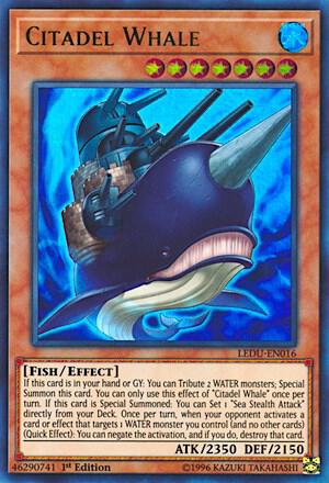 Citadel Whale (LEDU-EN016) (LEDU)