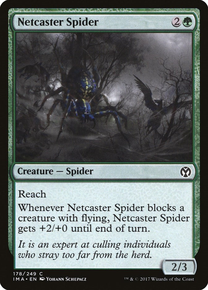 Image for Netcaster Spider (178) (IMA) - Magic: The Gathering
