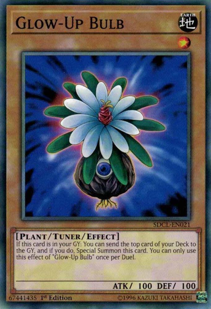 Glow-Up Bulb (SDCL-EN021) (SDCL)