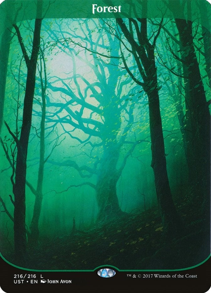 Image for Forest (216) (UST) - Magic: The Gathering