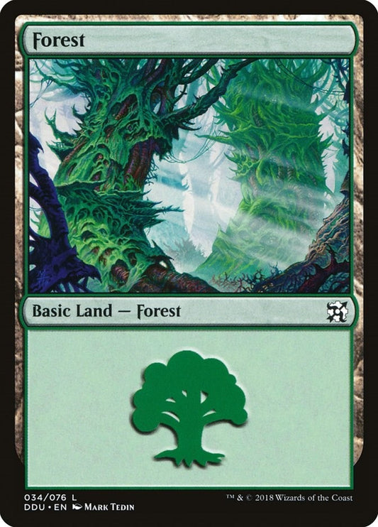 Image for Forest (034) (34) (DDU) - Magic: The Gathering