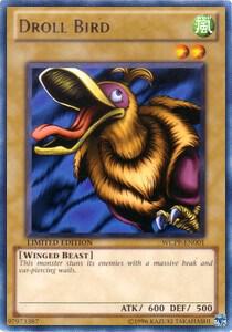 Droll Bird (WCPP-EN001) (WCPP)