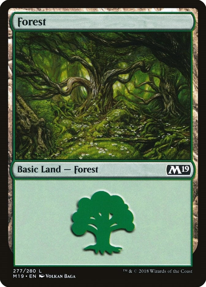 Image for Forest (277) (277) (M19) - Magic: The Gathering