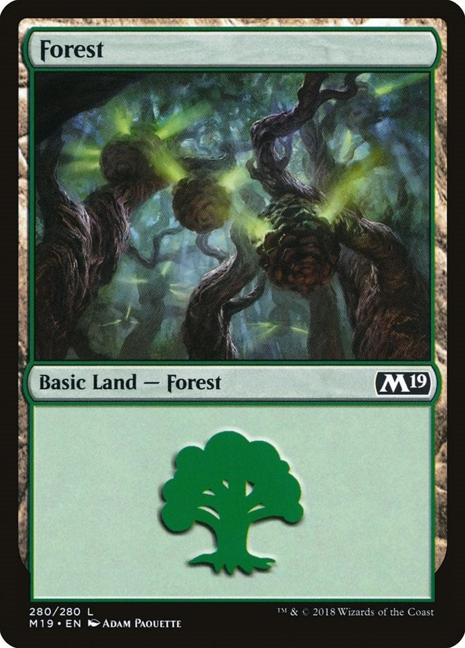 Image for Forest (280) (280) (M19) - Magic: The Gathering