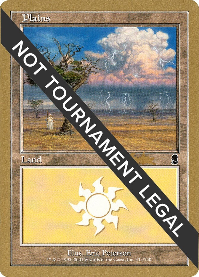 Plains (333) - 2002 Brian Kibler (ODY) (WCD)