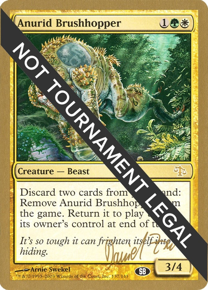 Anurid Brushhopper - 2003 Daniel Zink (JUD) (SB) (WCD)