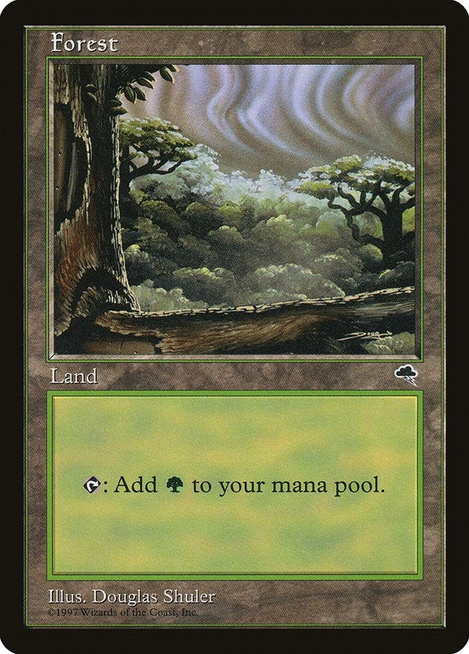 Image for Forest (Cloudy) (349) (TMP) - Magic: The Gathering