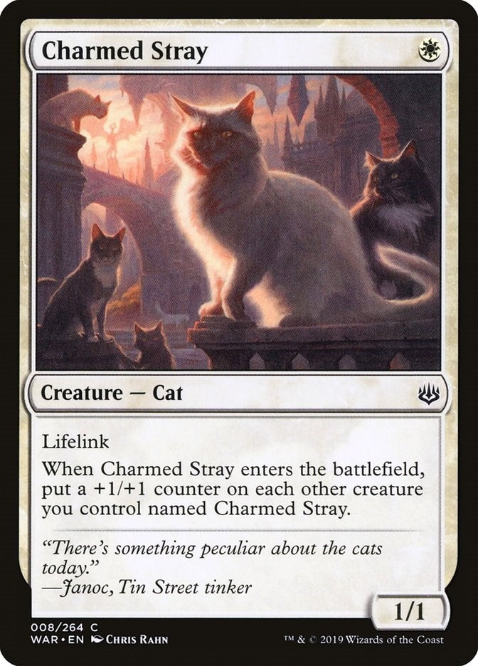 Image for Charmed Stray (8) (WAR) - Magic: The Gathering