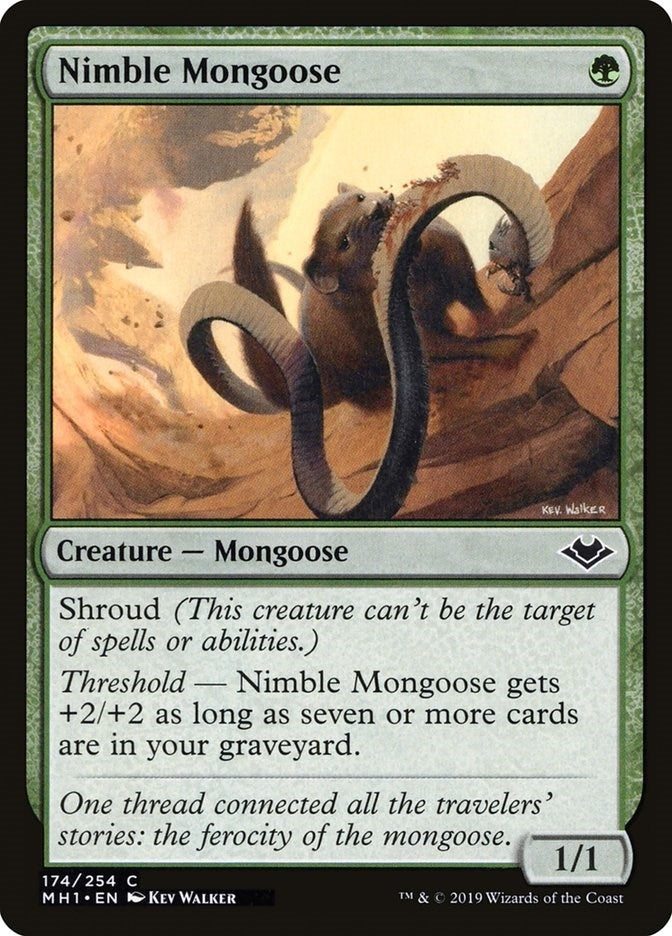 Image for Nimble Mongoose (174) (MH1) - Magic: The Gathering