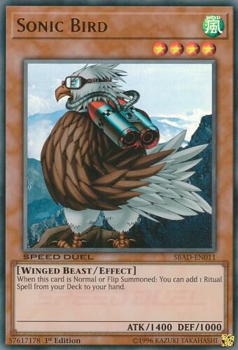 Sonic Bird (SBAD-EN011) (SBAD)