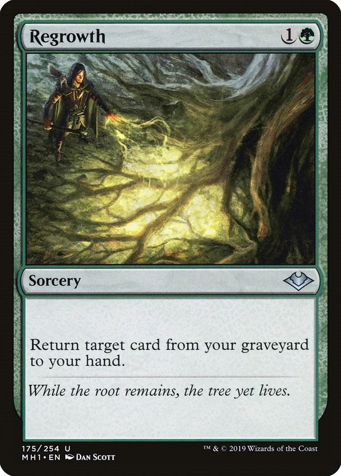 Image for Regrowth (175) (MH1) - Magic: The Gathering