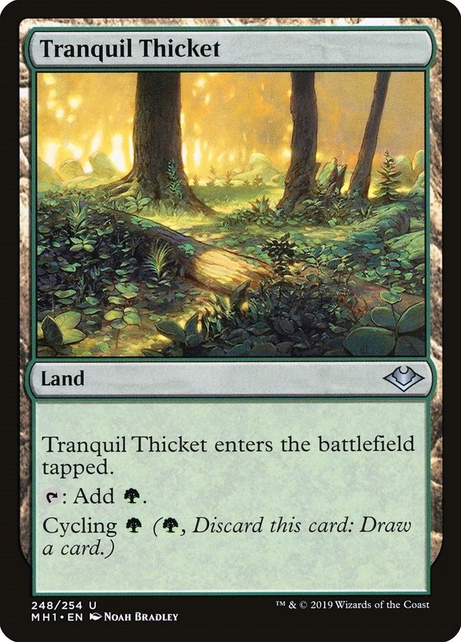 Image for Tranquil Thicket (248) (MH1) - Magic: The Gathering