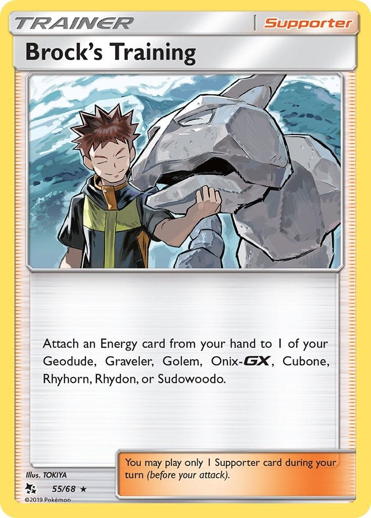 Brock's Training (55/68) (HIF)