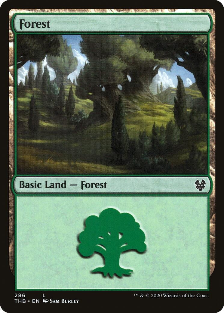 Image for Forest (286) (286) (THB) - Magic: The Gathering