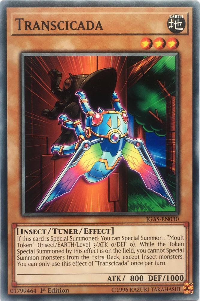 Transcicada (IGAS-EN030) (IGAS)