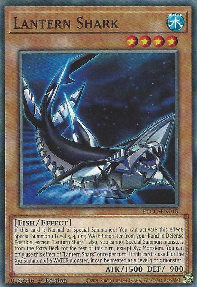 Lantern Shark (ETCO-EN018) (ETCO)