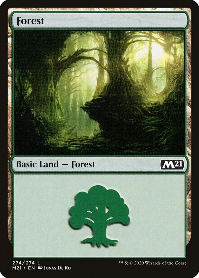 Image for Forest (274) (274) (M21) - Magic: The Gathering