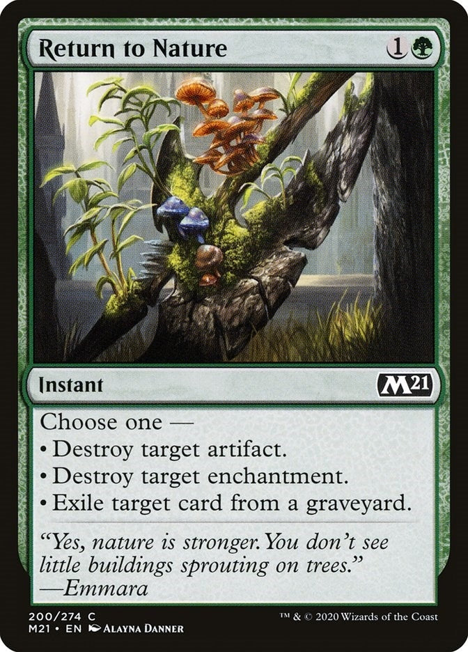 Image for Return to Nature (200) (M21) - Magic: The Gathering