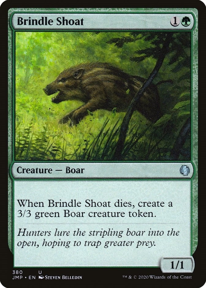 Brindle Shoat (380) (JMP)