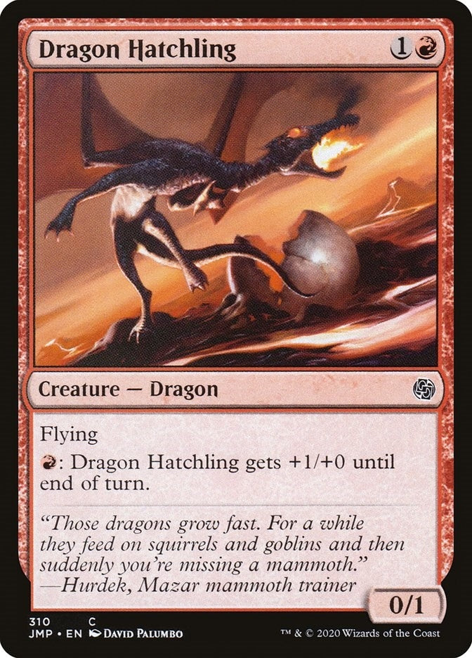 Dragon Hatchling (310) (JMP)