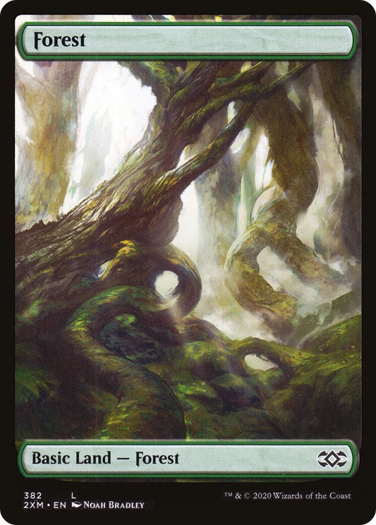 Image for Forest (382) (382) (2XM) - Magic: The Gathering