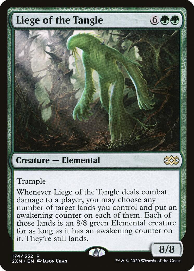 Liege of the Tangle (174) (2XM)