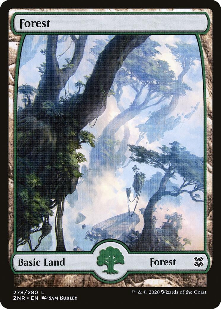 Forest (278) - Full Art (278) (ZNR)