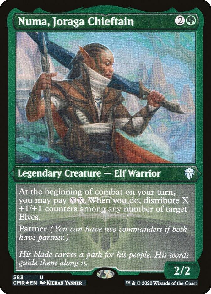 Numa, Joraga Chieftain (Foil Etched) (583) (CMR)