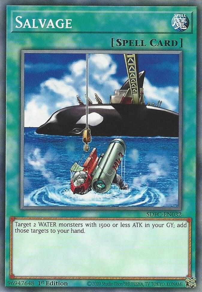 Salvage (SDFC-EN032) (SDFC)