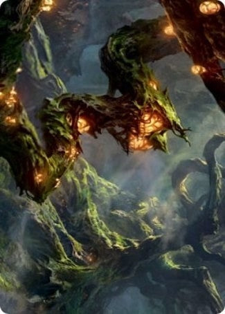 Forest Art Card (50) (ASSTX)