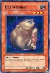 Des Wombat (TLM-EN031) (TLM)