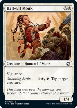Half-Elf Monk (19) (AFR)