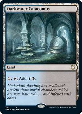 Darkwater Catacombs (232) (AFC)