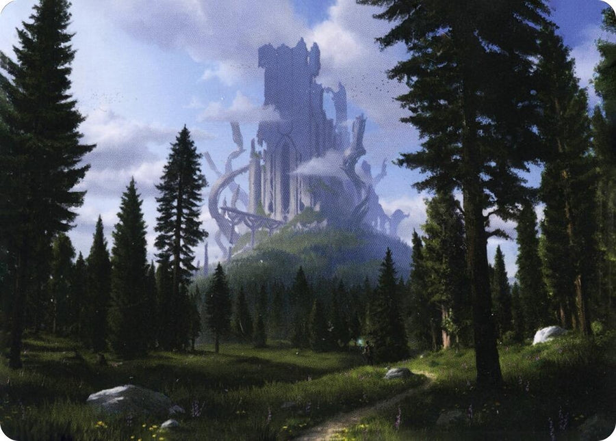 Forest (61/81) Art Card (61) (ASAFR)