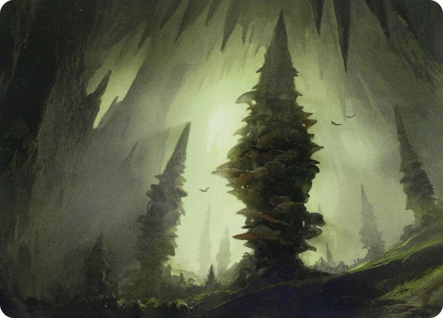 Forest (55/81) Art Card (55) (ASAFR)