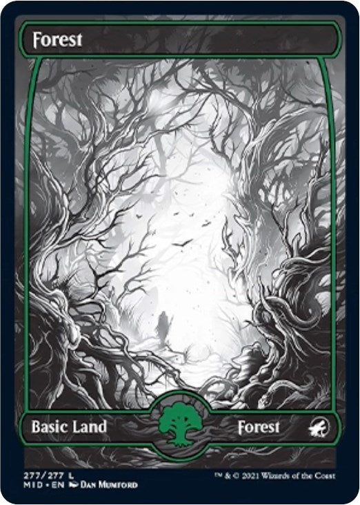 Forest (277) (277) (MID)