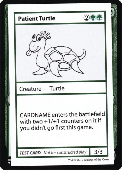 Patient Turtle (No PW Symbol) (CMB1)