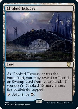 Choked Estuary (169) (MIC)