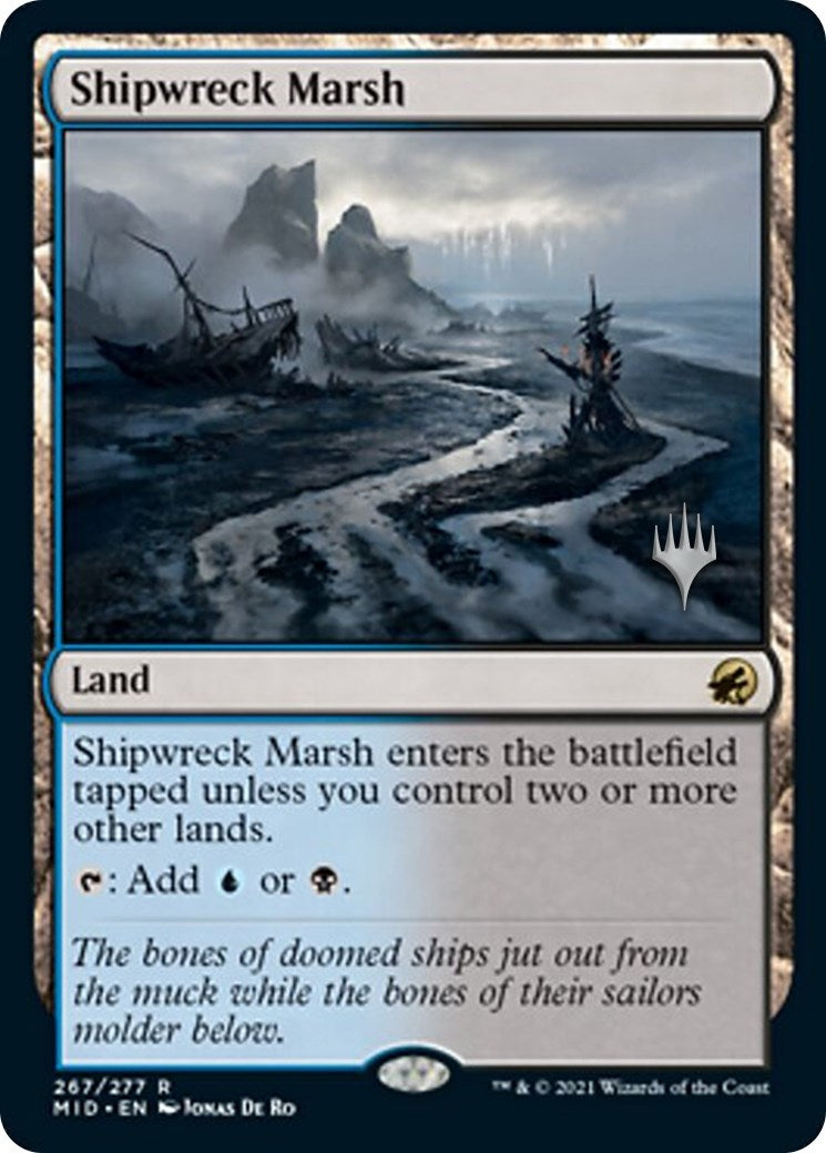Shipwreck Marsh (267) (PPMID)