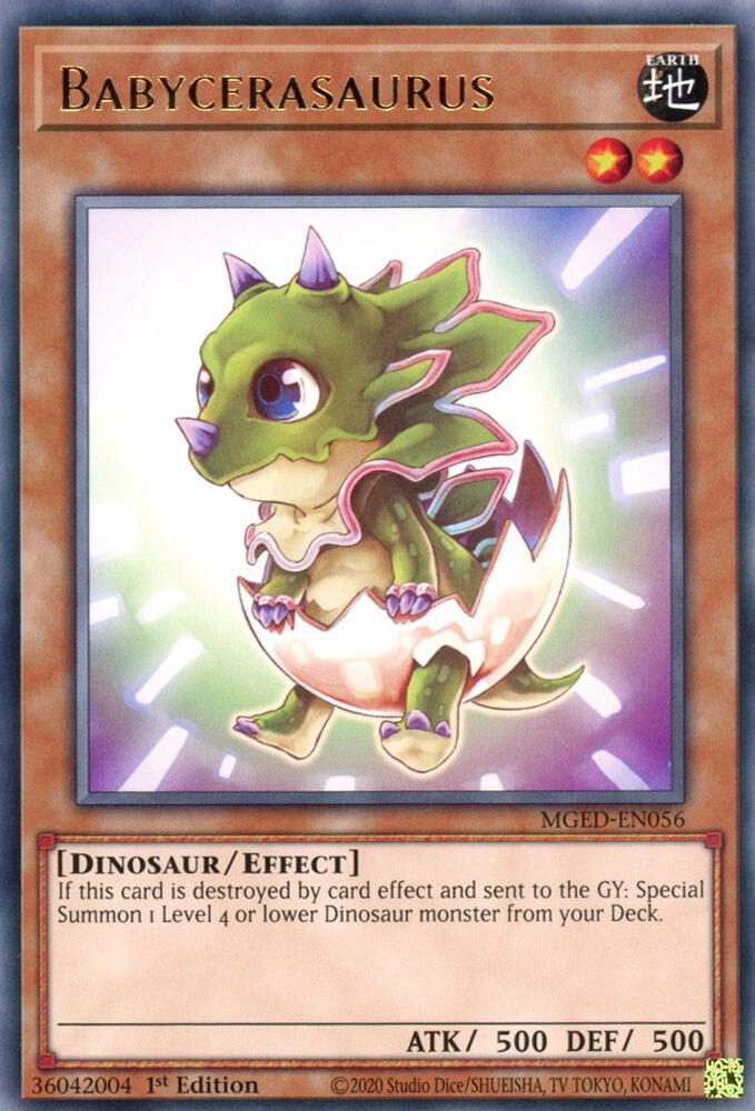Babycerasaurus (MGED-EN056) (MGED)